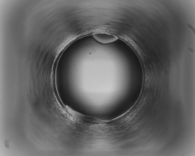 X0000101120902200806261433