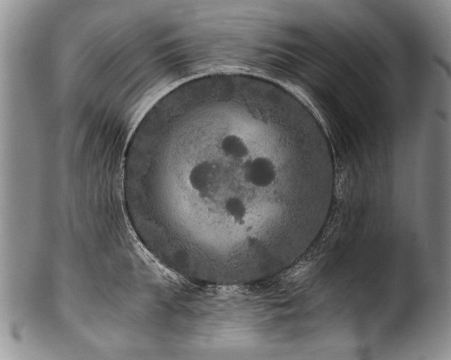 X0000101120903200806261433