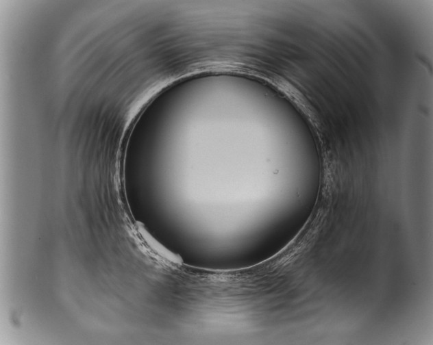 X0000101120904200806261433