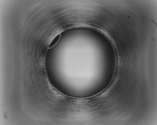 X0000101120905200806261433