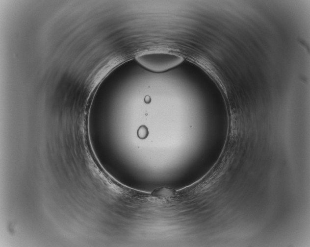 X0000101120906200806261433