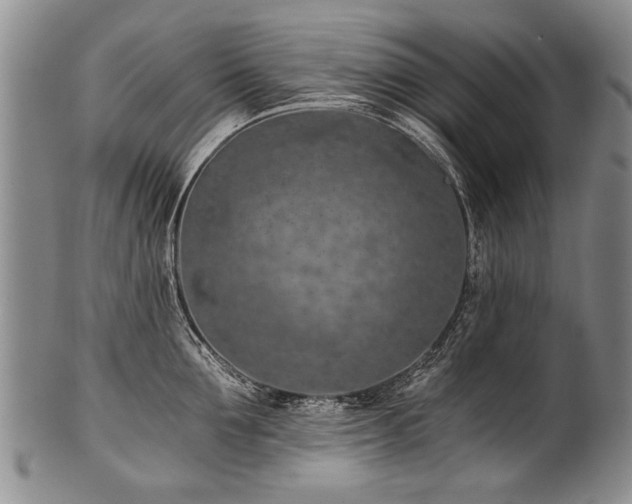 X0000101120907200806261433