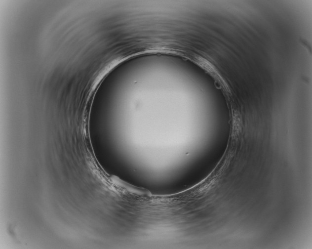 X0000101120908200806261433