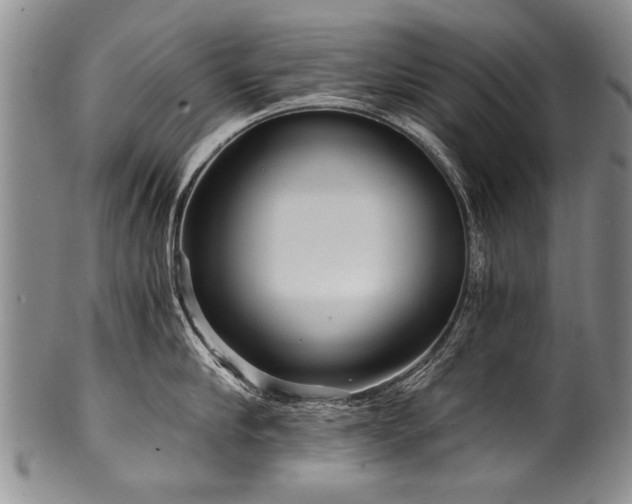 X0000101120910200806261433