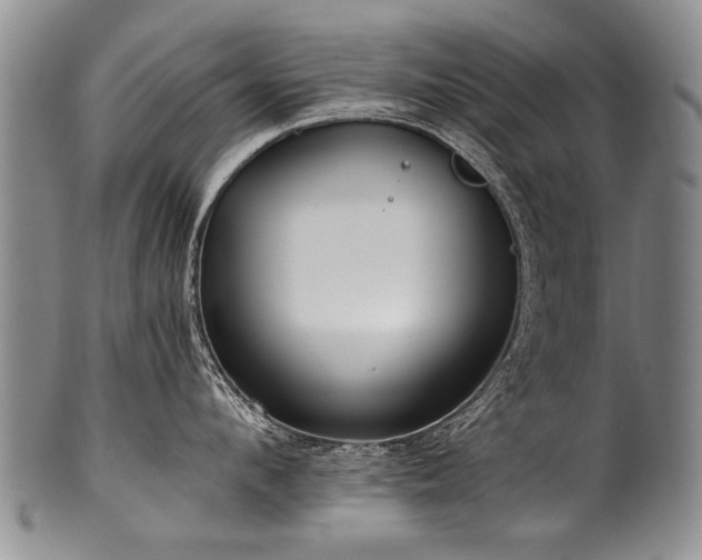X0000101120912200806261433