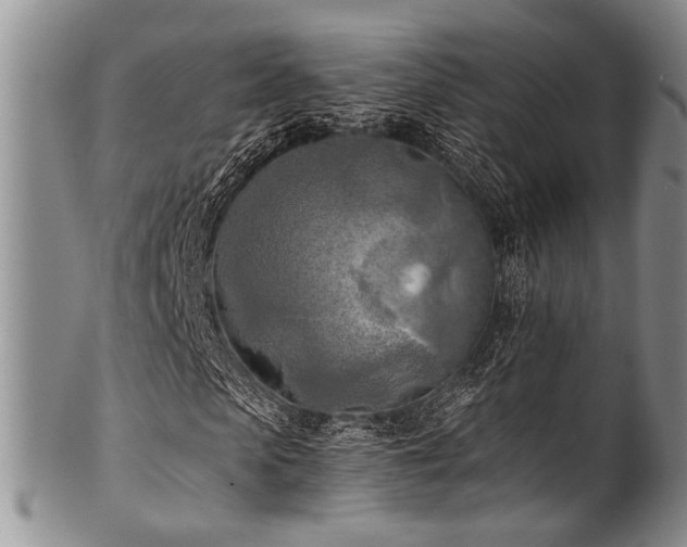 X0000101120913200806261432