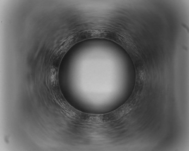 X0000101120914200806261432