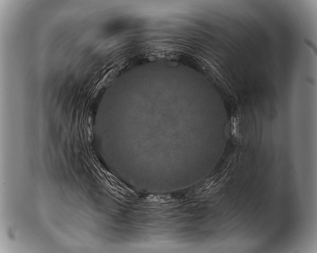 X0000101120915200806261432