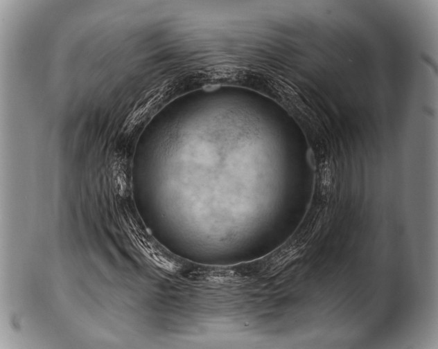 X0000101120916200806261433