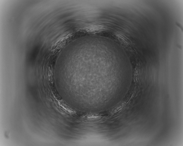X0000101120917200806261433