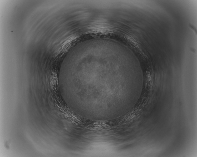 X0000101120918200806261433
