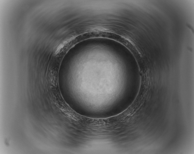 X0000101120919200806261433