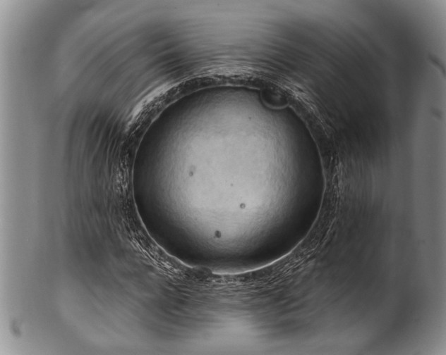 X0000101120920200806261433