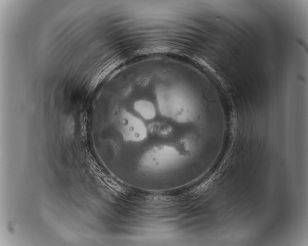 X0000101120921200806261433