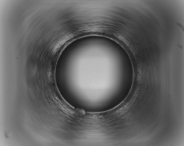 X0000101120922200806261433