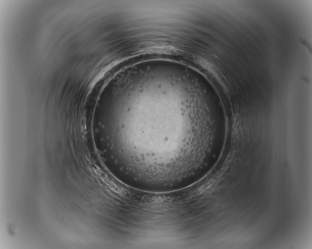 X0000101120923200806261433