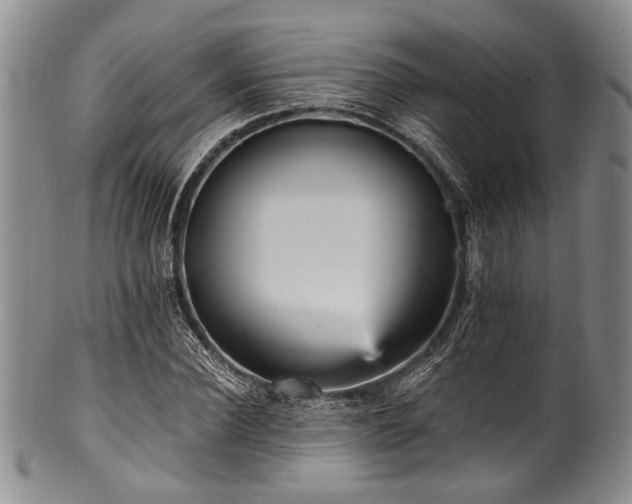 X0000101120924200806261433