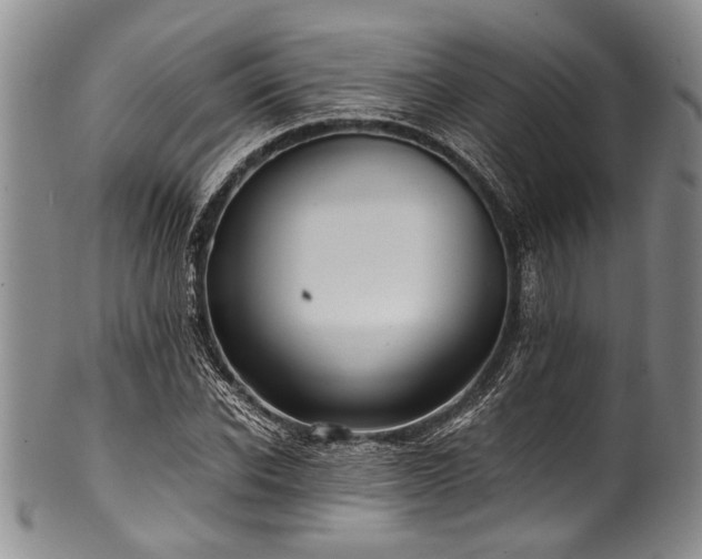 X0000101120926200806261433
