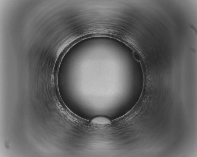 X0000101120928200806261433