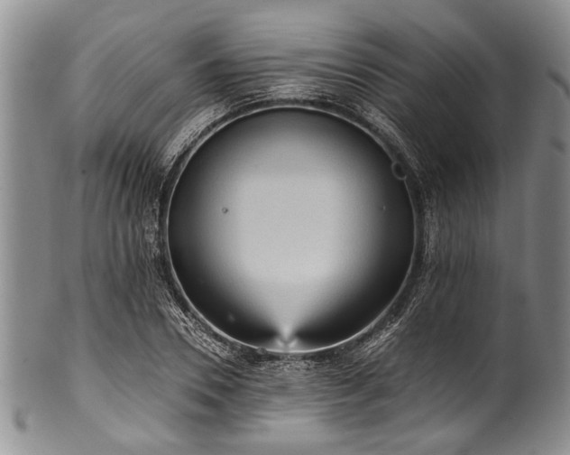 X0000101120930200806261433