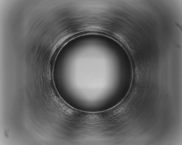 X0000101120931200806261433