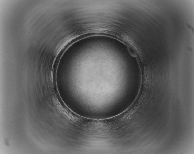 X0000101120932200806261433