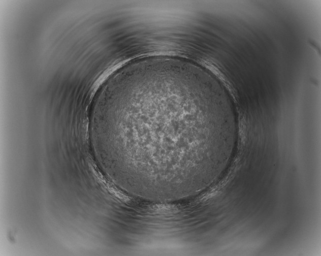 X0000101120933200806261433