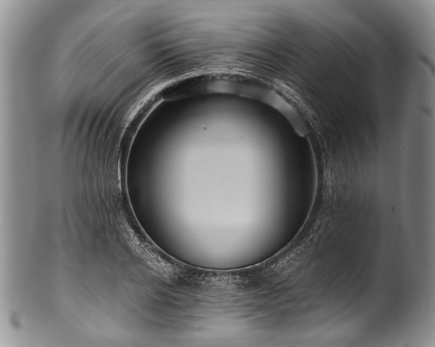 X0000101120934200806261433