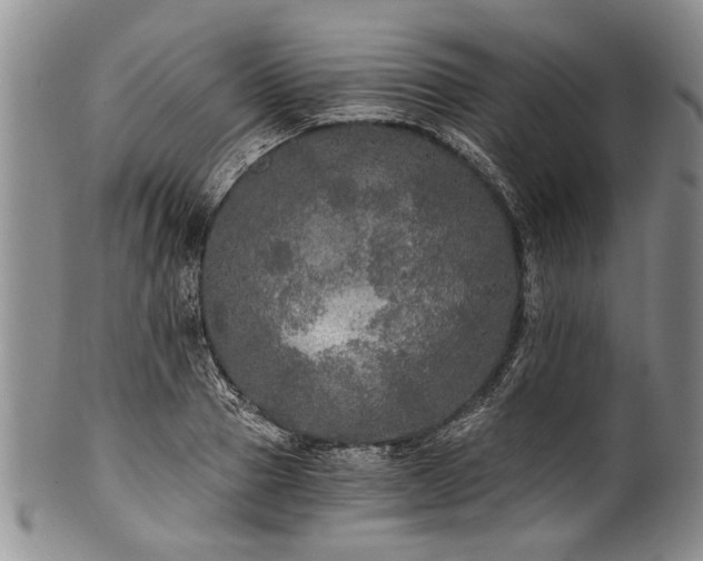 X0000101120937200806261433