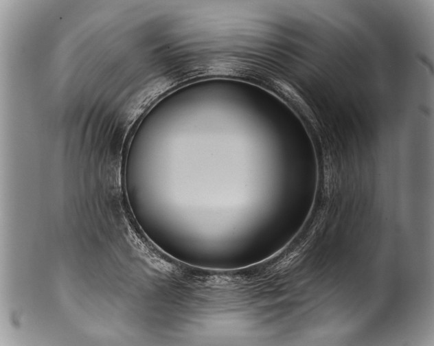 X0000101120938200806261433