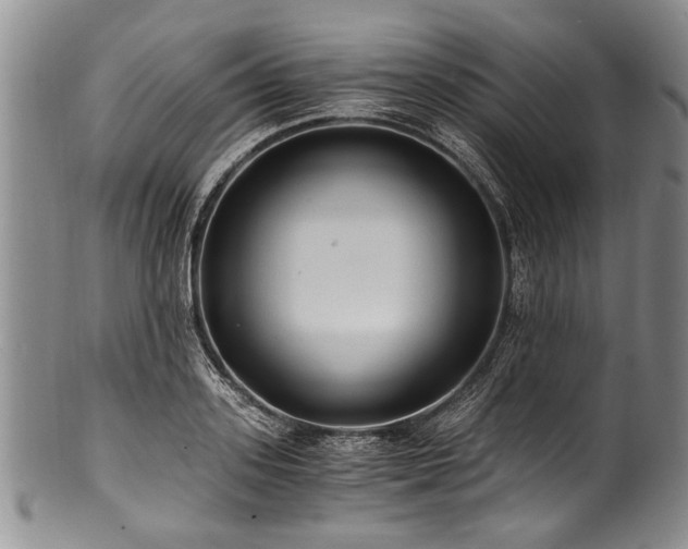 X0000101120939200806261433