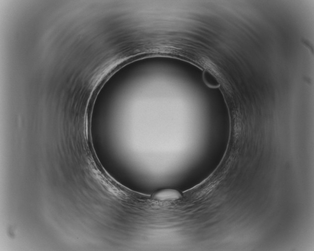 X0000101120940200806261433