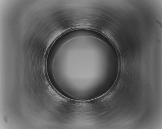X0000101120941200806261433