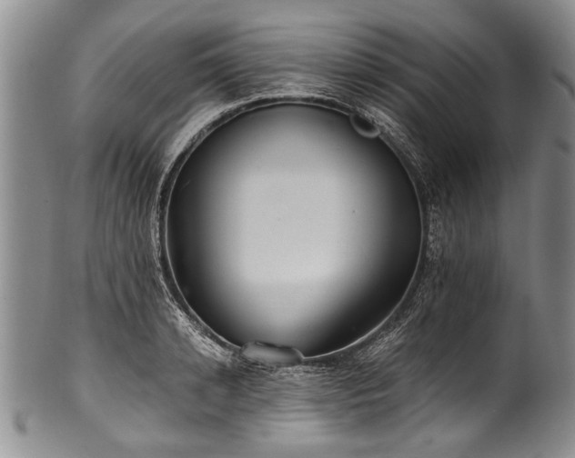 X0000101120942200806261433