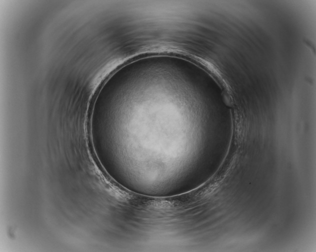 X0000101120943200806261433