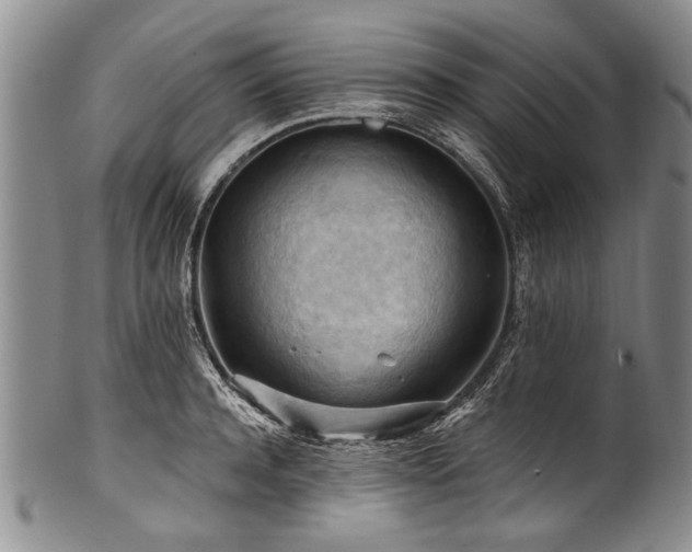X0000101120944200806261433