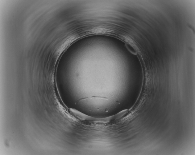 X0000101120946200806261433