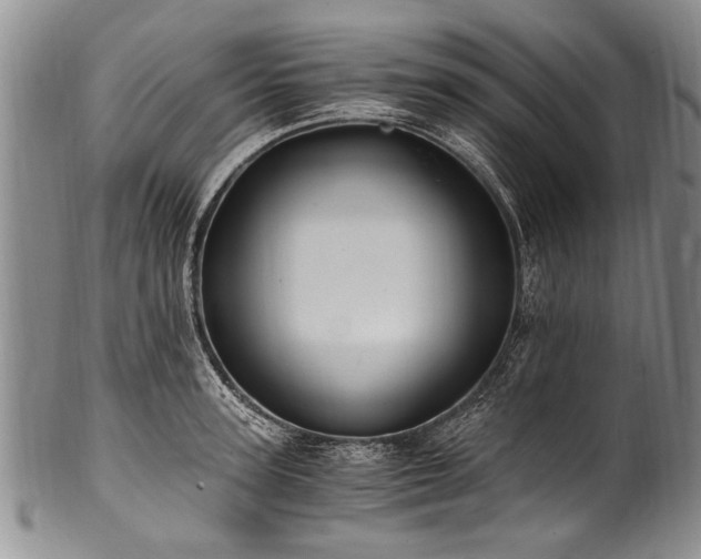 X0000101120947200806261433