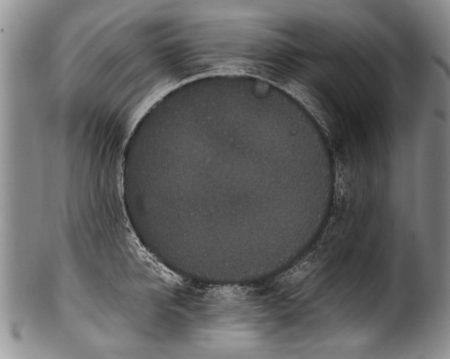X0000101120950200806261433