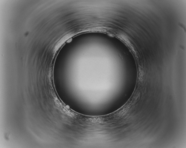 X0000101120952200806261433