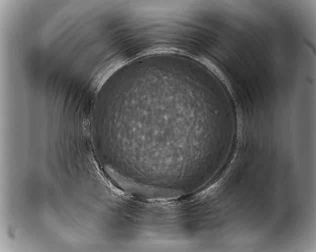 X0000101120953200806261433