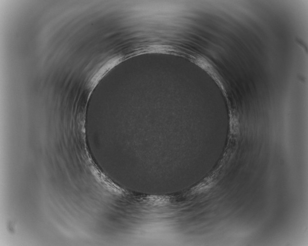 X0000101120954200806261433