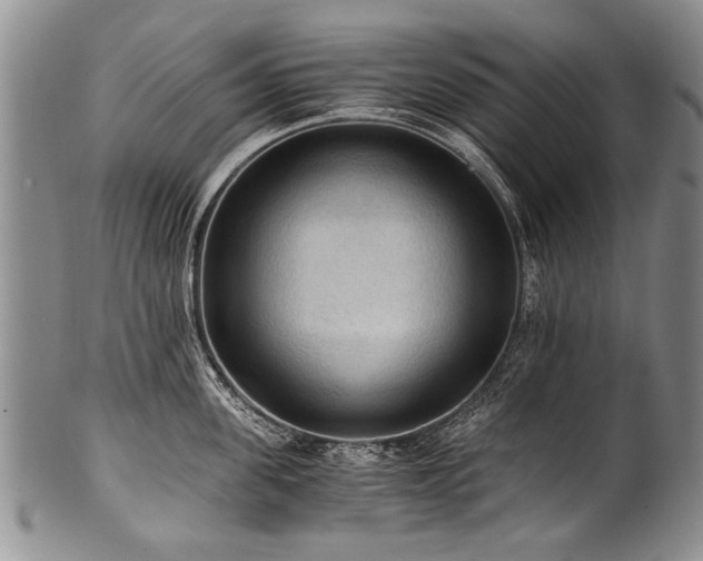 X0000101120955200806261433