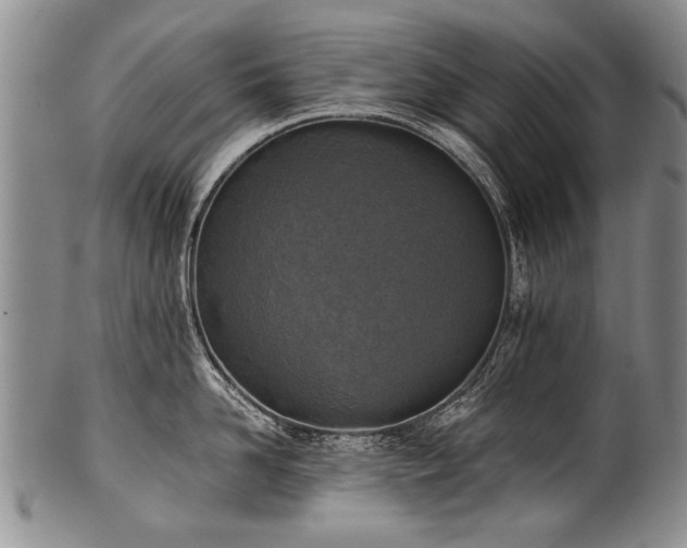 X0000101120958200806261433