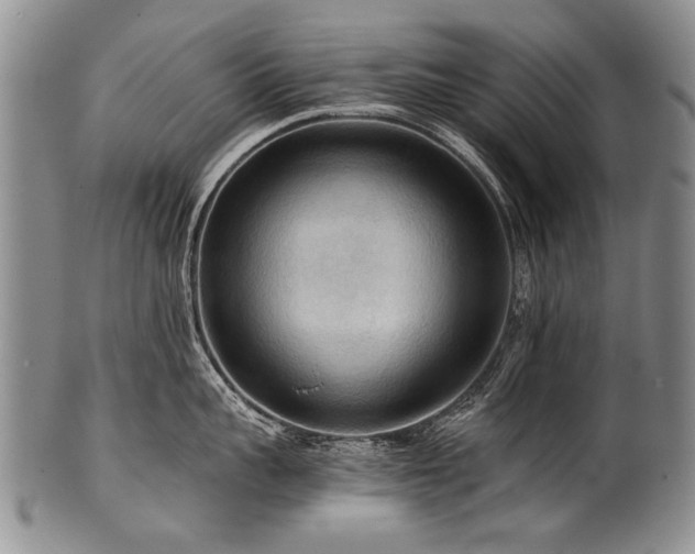 X0000101120959200806261433