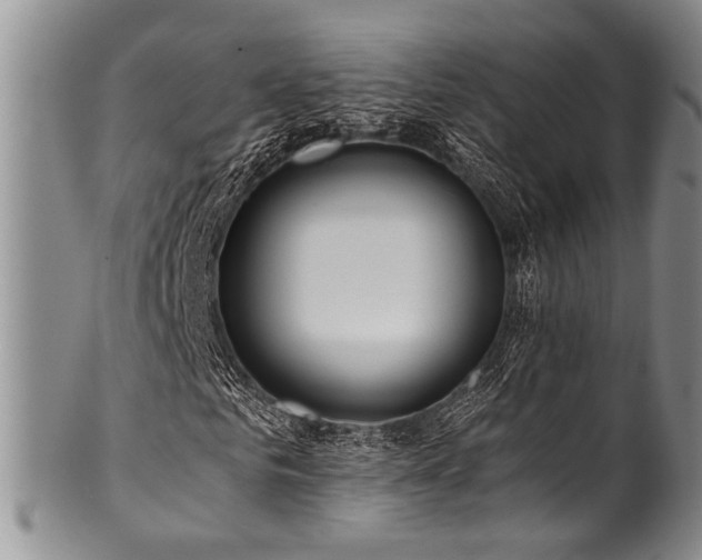 X0000101120961200806261432