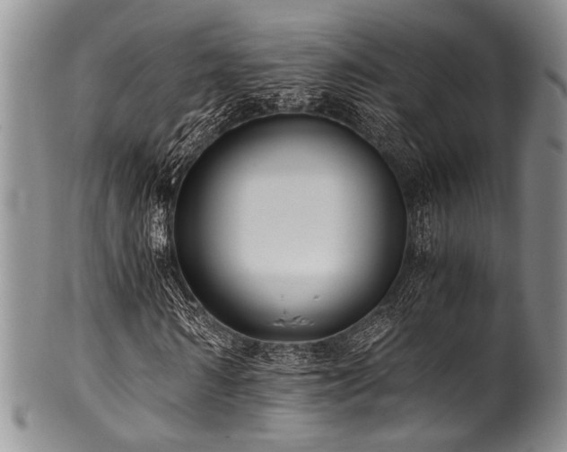 X0000101120962200806261432