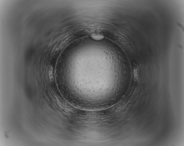 X0000101120963200806261432