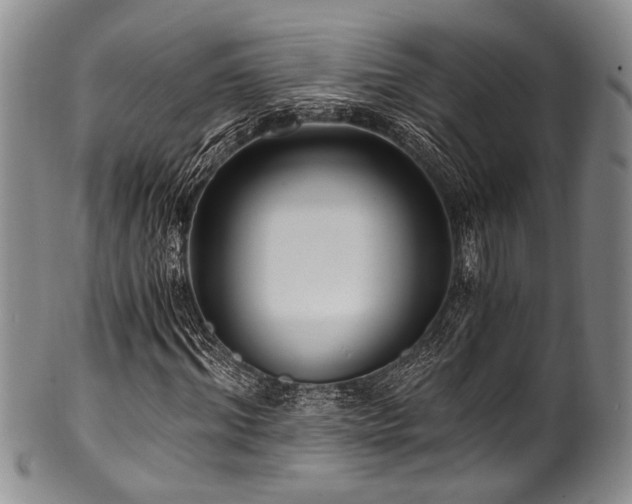 X0000101120964200806261432