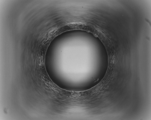 X0000101120965200806261432